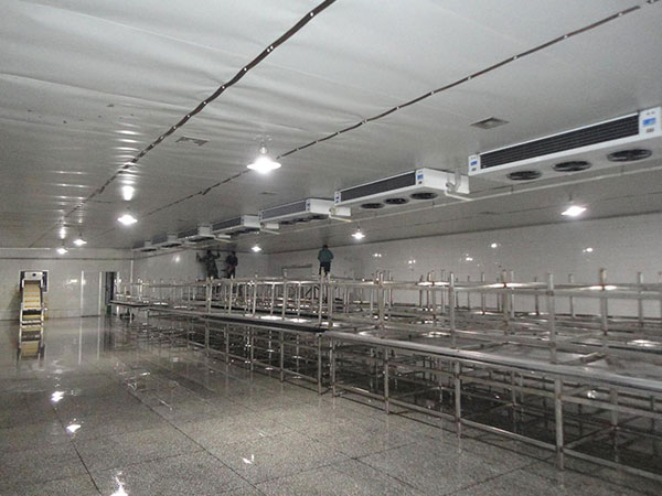 速凍冷庫建造